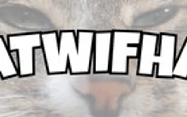 Catwifhat cover art