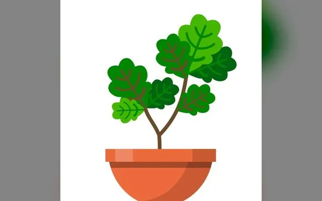 Terrarium: Garden Idle cover art